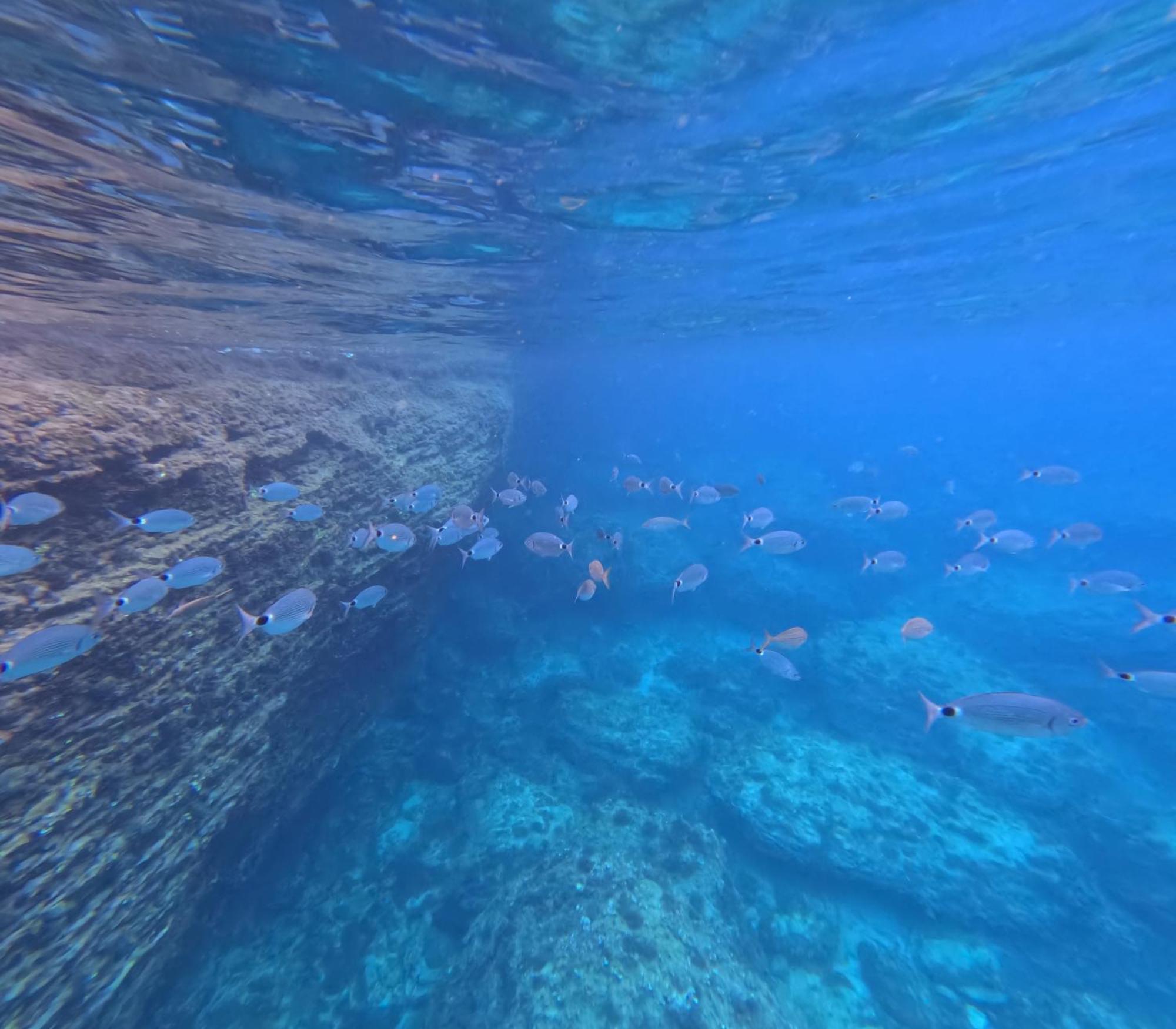 Entre Ciel Et Mer Hotel بونيفَسْيو المظهر الخارجي الصورة